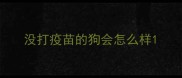 没打疫苗的狗会怎么样