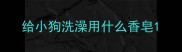 给小狗洗澡用什么香皂