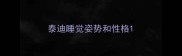 泰迪睡觉姿势和性格