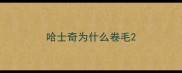 哈士奇为什么卷毛