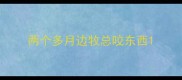 两个多月边牧总咬东西