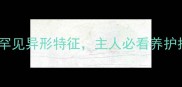 警惕拉布拉多幼犬出现罕见异形特征主人必看养护指南附专业医生解读