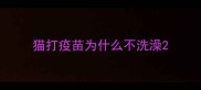 猫打疫苗为什么不洗澡