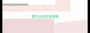 那可以领养宠物狗