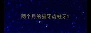 两个月的猫牙齿蛀牙