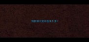 狗狗测大腿体温准不准