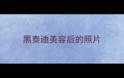 黑泰迪美容后的照片