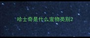 哈士奇是什么宠物类别