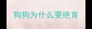 狗狗为什么要绝育
