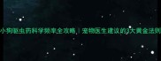 小狗驱虫药科学频率全攻略宠物医生建议的3大黄金法则