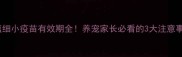 犬瘟细小疫苗有效期全养宠家长必看的3大注意事项