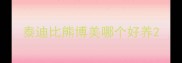 泰迪比熊博美哪个好养