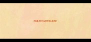 我喜欢的动物泰迪狗