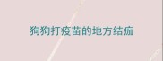 狗狗打疫苗的地方结痂