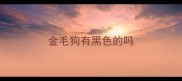 金毛狗有黑色的吗