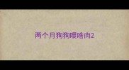 两个月狗狗喂啥肉