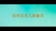 拉布拉多几度着凉