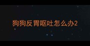 狗狗反胃呕吐怎么办