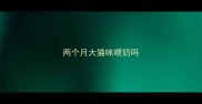 两个月大猫咪喂奶吗
