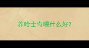 养哈士奇喂什么好