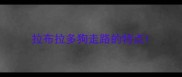 拉布拉多狗走路的特点