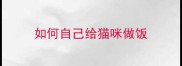 如何自己给猫咪做饭