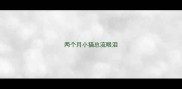 两个月小猫总流眼泪