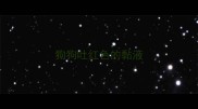狗狗吐红色的黏液