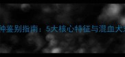 哈士奇纯种鉴别指南5大核心特征与混血犬对比分析