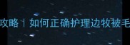 边牧毛发修剪全攻略如何正确护理边牧被毛新手必看教程