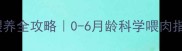 小猫断奶期喂养全攻略0-6月龄科学喂肉指南附食谱