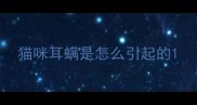 猫咪耳螨是怎么引起的