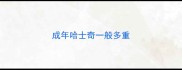 成年哈士奇一般多重