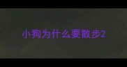 小狗为什么要散步