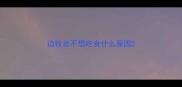 边牧总不想吃食什么原因