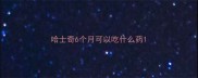 哈士奇6个月可以吃什么药