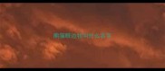 熊猫眼边牧叫什么名字