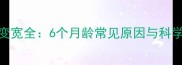 边牧额头变宽全6个月龄常见原因与科学护理指南