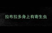 拉布拉多身上有寄生虫