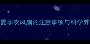 金毛犬夏季吹风扇的注意事项与科学养护指南