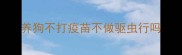 养狗不打疫苗不做驱虫行吗