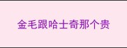 金毛跟哈士奇那个贵