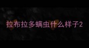 拉布拉多螨虫什么样子