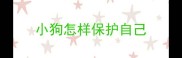 小狗怎样保护自己