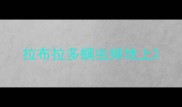 拉布拉多螨虫掉地上