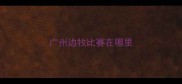 广州边牧比赛在哪里