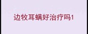 边牧耳螨好治疗吗