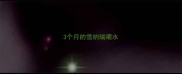 3个月的雪纳瑞喂水