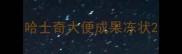哈士奇大便成果冻状