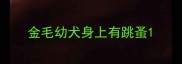 金毛幼犬身上有跳蚤